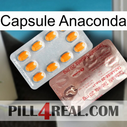 Anaconda Capsule new13